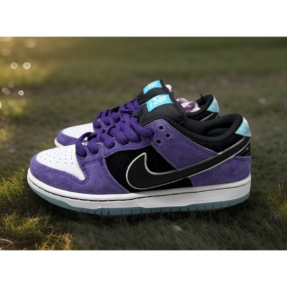 Nike Hayley Wilson Dunk SB Low Court Purple HJ0513-500 Men Sz 5.5 Women Sz 7 NEW